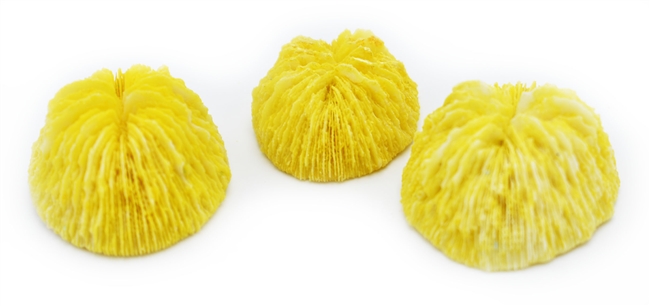 Yellow Mushroom Coral x small