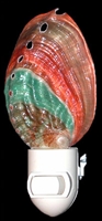 rainbow Abalone night light