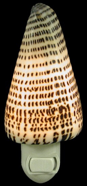 letter cone night light