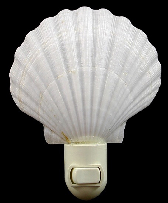 white scallop night light