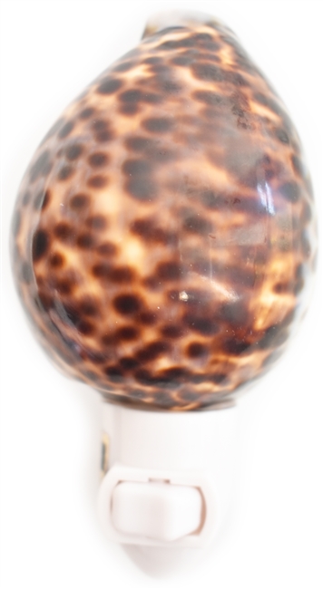 Tiger Cowrie night light