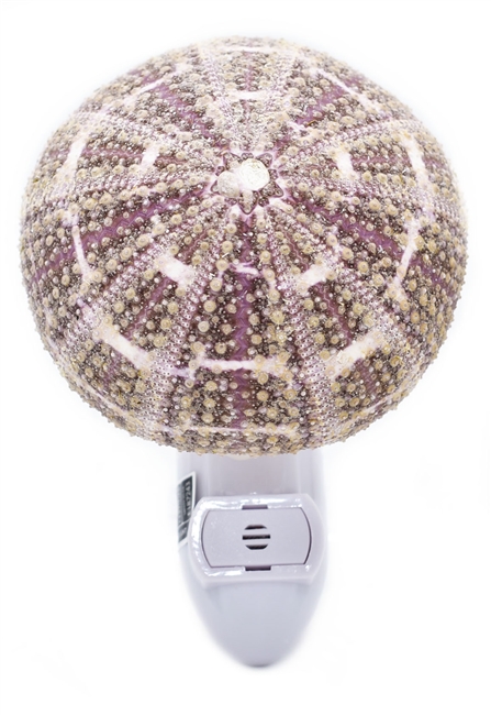 Sea Urchin Night Light