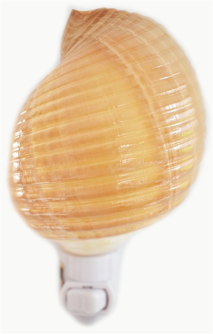 Brown Tonna Cepa night light