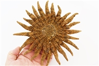 Sunflower Starfish medium