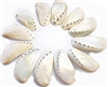 donkeys ear pearl abalone