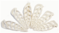 white center cut cerithiuma shells