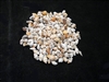 Tiny Mixed Nassa Shells