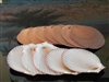 brown sun and moon shells