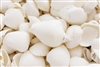 Medium White Shell Mix