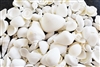 Medium White Shell Mix
