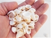 tiny white granosa