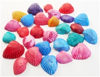 small dyed ark shells bulk