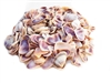 blue white coquina