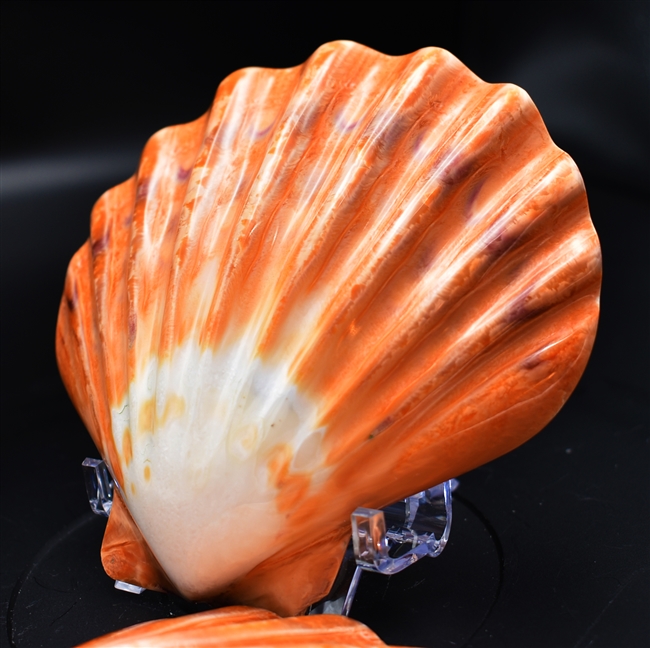 Polished Large Orange Lions Paw