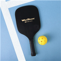 The Pick Up Pickleball Set