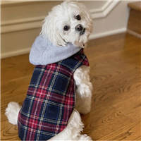 Doggie Design Weekender Dog Hoodie-Red Black Plaid