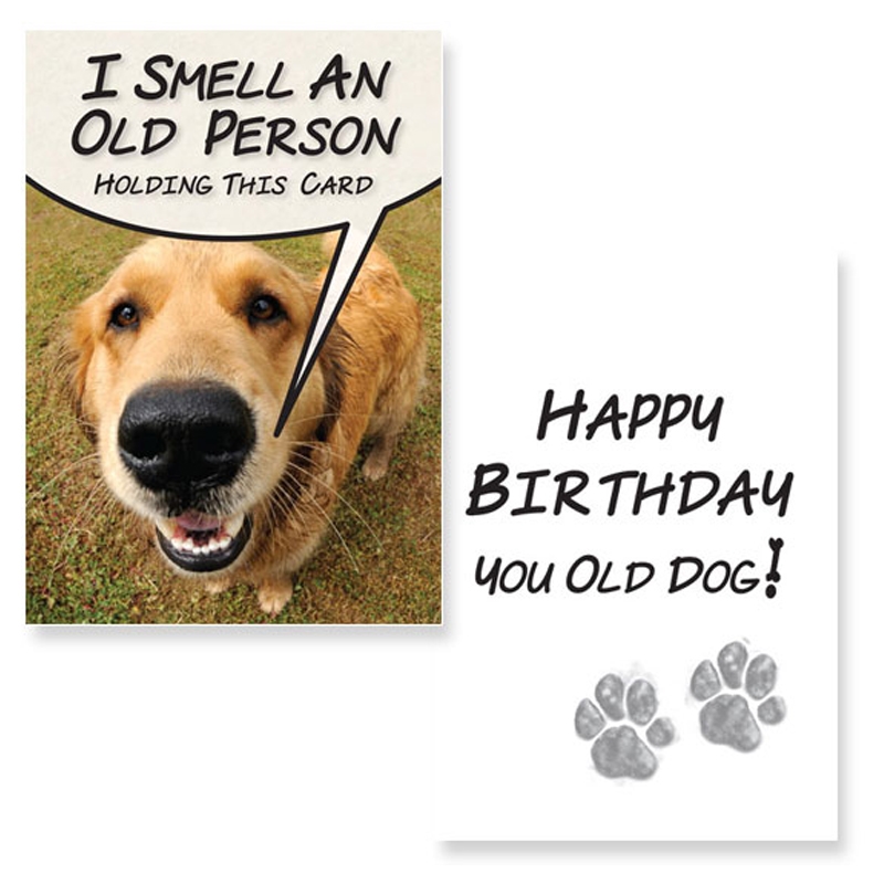 Birthday ideas for outlet animal lovers