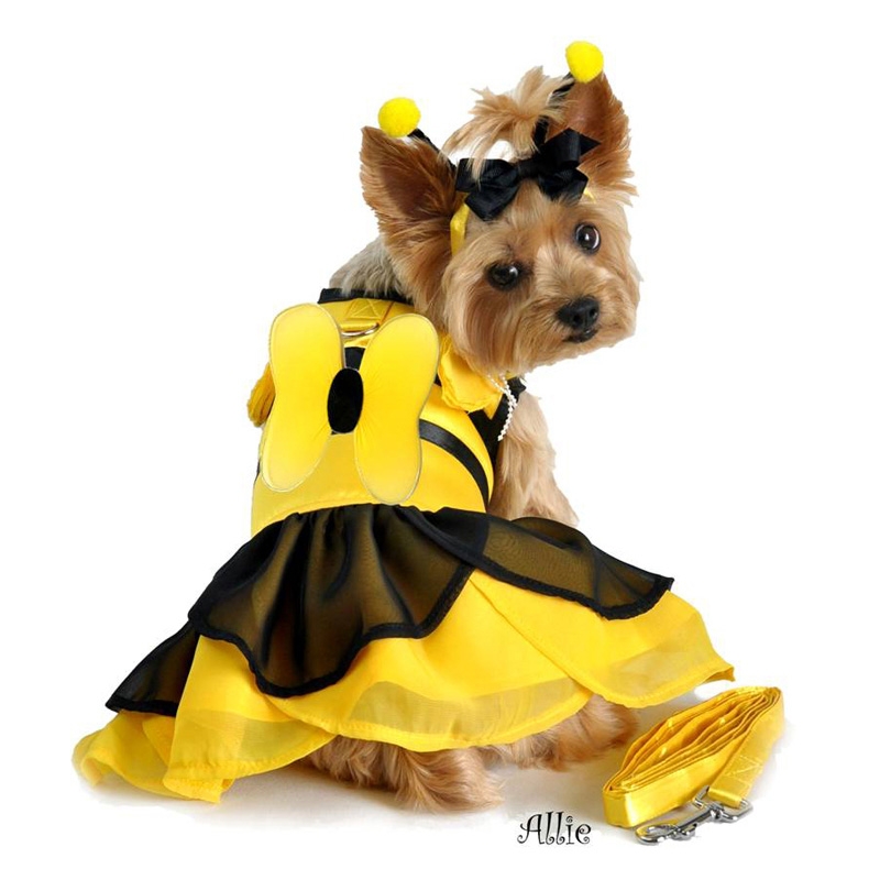 Dog shop bee outfit