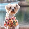 Hawaiian Camp Dog Shirt-Sunset Hibiscus