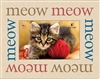 Meow Meow Meow 7"x9" Picture Frame