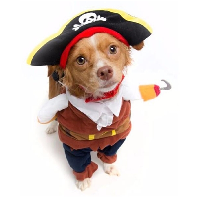 Pet Krewe Pirate Dog Costume