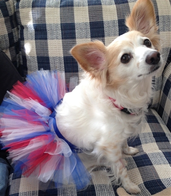 Patriotic Handcrafted Dog Mesh Ribbon Tutu