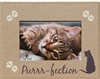 Purrfection 7"x9" Picture Frame