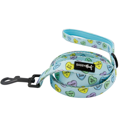 Sassy Woof Fabric Dog Leash-Sassy Sweethearts