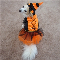 Spellhound Witch Dog Costume