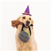 Zippy Paws Halloween Costume Kit Witch