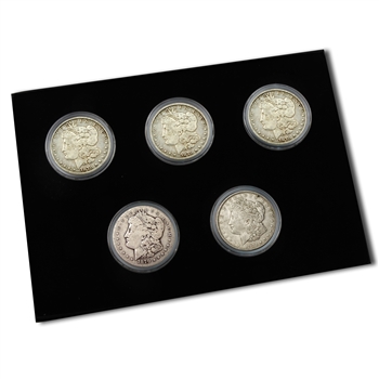 1st Year Morgan Dollar 5 pc Set-Mint Marks