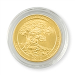2013 Nevada Great Basin Qtr - Philadelphia - Gold in Capsule