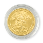 2013 Nevada Great Basin  Qtr - Denver - Gold in Capsule