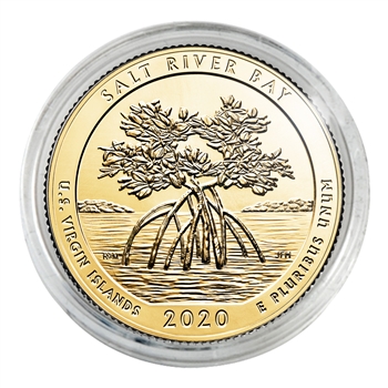 2020 Salt River Quarter - Philadelphia - Gold Capsule