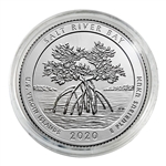 2020 Salt River Quarter - Philadelphia - Platinum Capsule