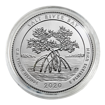 2020 Salt River Quarter - Denver - Platinum Capsule