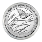 2020 Tallgrass Qtr - Philly - Platinum Plated in Capsule