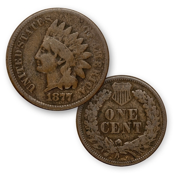 1877 Indian Head Cent - Circulated - Capsule