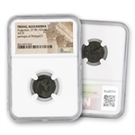 Roman Bronze - Augustus - Troas Alexandria - NGC