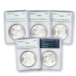 Morgan Dollar - New Orleans - PCGS 63 Rattler Holder