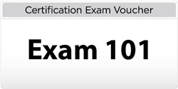 LPI Level 1 Exam 101 Voucher