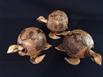Coco Turtles with Design