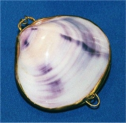 Purple Clam Polished Coin Purse