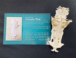 Catfish Crucifix with Postcard