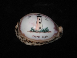 Etched Cowry Cape May Lighthouse