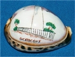 Ocracoke Etched Lighthouse on Tiger Cowry