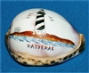 Hatteras Lighthouse Etched Tiger Cowry