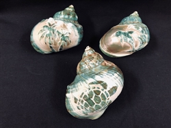 Carved Jade Turbo Astd Designs