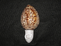 Palm Leaf Carved Tiger Cowry