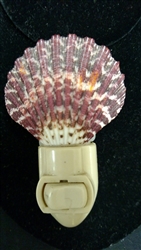 Pecten Pallium Night Light